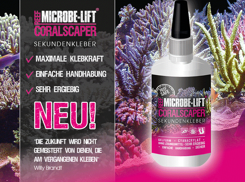 MICROBE-LIFT CORALSCAPER Sekundenkleber 