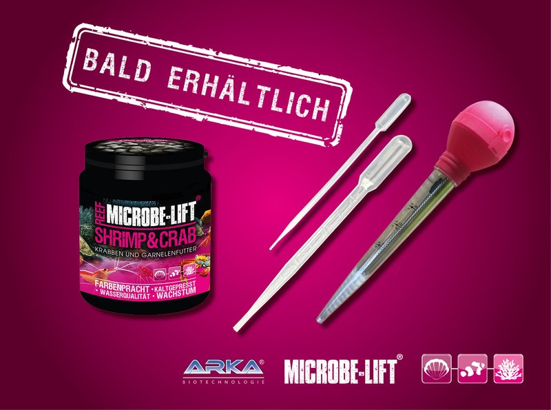 Shrimp & Crab ist ein kaltgepresstes, schnell sinkendes Soft-Futtergranulat zur optimalen Ernährung Ihrer Wirbellosentiere wie zum Beispiel Krabben, Garnelen und Schnecken. 