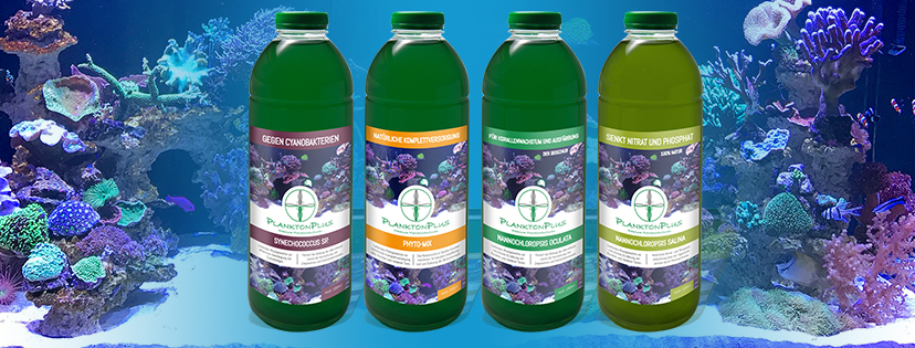 PlanktonPlus